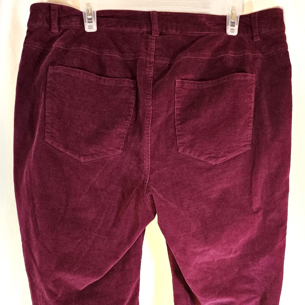 Woman Within 16W Cord Pants - Picture 6 of 7